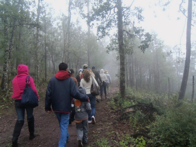 Caminatas en la niebla